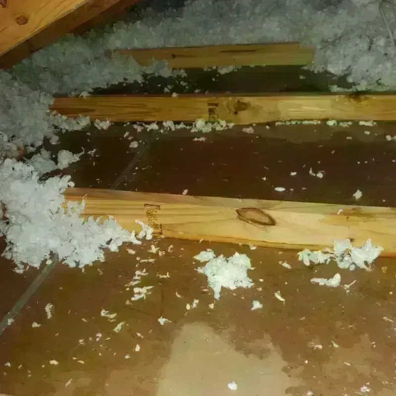 Attic Water Damage in Okanogan County, WA